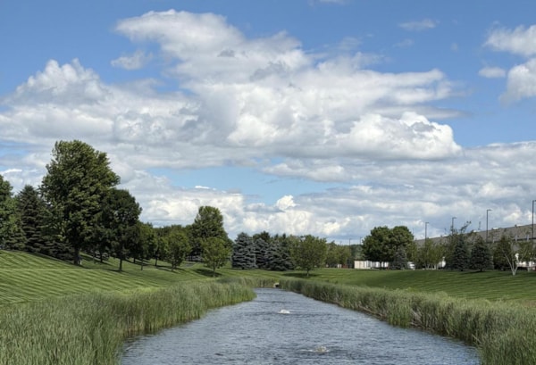 Commercial Lawn Bordering Wetland Canal